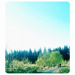 Brian Ritchie - Shine