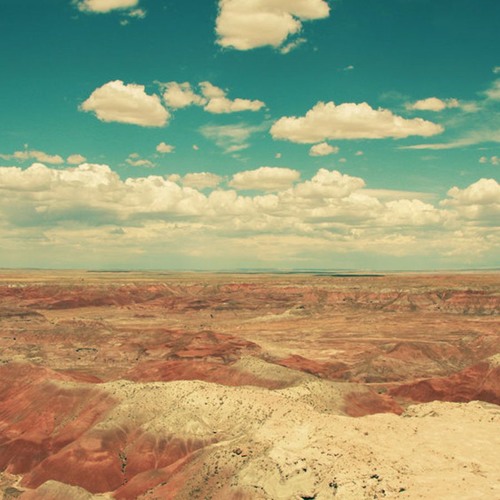 عالجبين عصابة