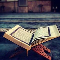 سورة الملك - أحمد محمد