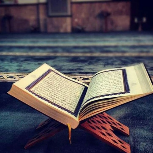 سورة الملك - أحمد محمد