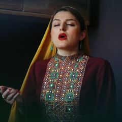 tasnif ey kaboutar/ malihe moradi
