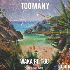 Waka Ft. TGC - Too Many (Prod. By JIGGA BEATZ)