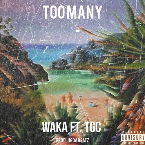 Waka Ft. TGC - Too Many (Prod. By JIGGA BEATZ)