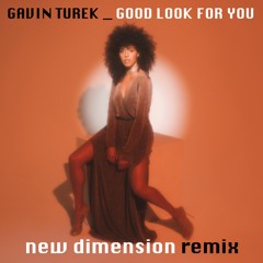 GAVIN TUREK - GOOD LOOK FOR YOU - NEW DIMENSION REMIX