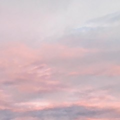 Caring Is Creepy(The Shins Cover)