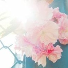 新歌曲 - 愛光主日敬拜170521