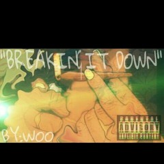 Woo - "Breaking It Down"