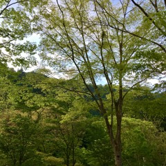 Nature Sounds - Takao Jimba, JAPAN - Satoyama Landscape01 (Monoral Recording)
