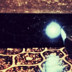 Machine Learned Dreams