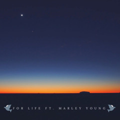 For Life ft. Marley Young