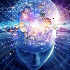 Peer Into My Soul - Livid