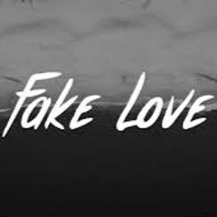 Chris Blake-Fake Love