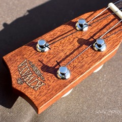 Kiwaya KTS-5 With Martin Fluorocarbon strings