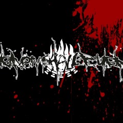 Heaven Shall Burn - Voice Of The Voiceless(Instrumental Cover)