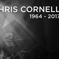 AudioslaveLike a stone(Vocal cover)