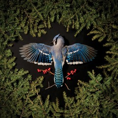 There's No One Here (2017)