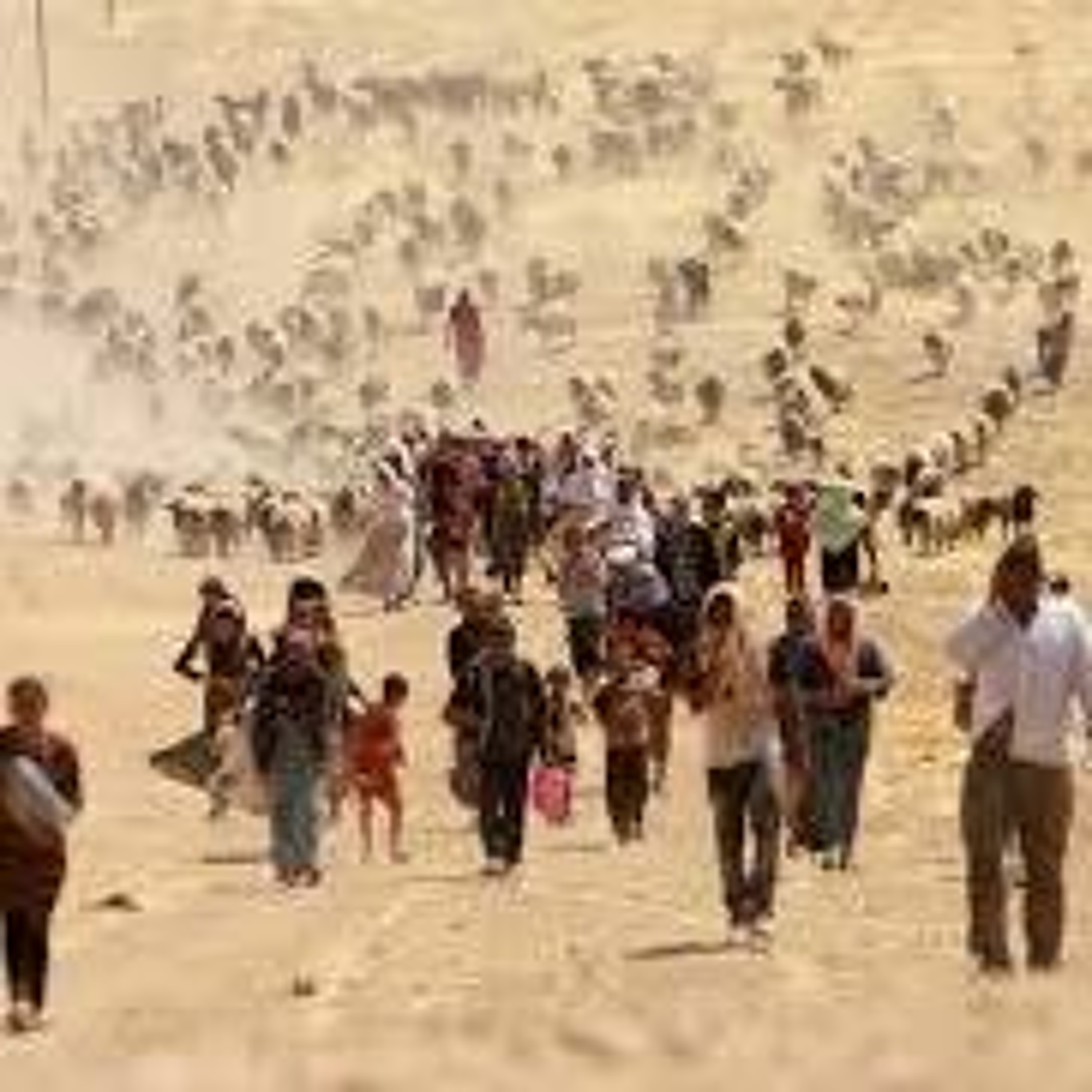 BBC Radio 4: FooC Yezidis in Armenia