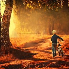 The 6 years old boy with a bike