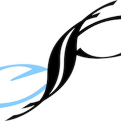 Apr 29 2017 Radio Pt.2 (Hip Hop & R&B)