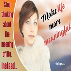 The meaning of life: Stop Looking, rather learn How to Make Life More Meaningful | Wenzes