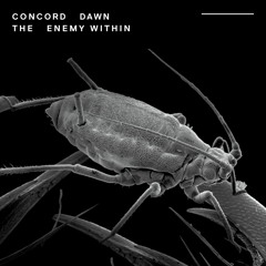 Concord Dawn - Burn At The Stake feat. Cern & Bulletproof