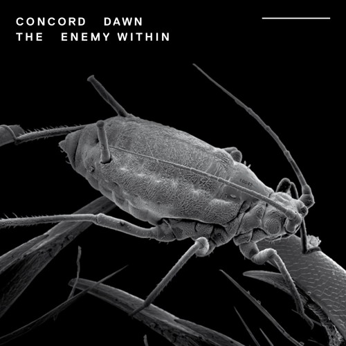 Concord Dawn - Burn At The Stake feat. Cern & Bulletproof