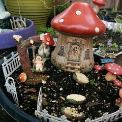 Zanele Din Gradina Mea Capitolul 2    Promo