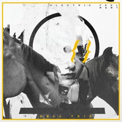 mgmt - electric feel {nøll trip}