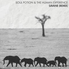 Savane (Soul Potion & The Human Experience Remix)