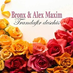 Bronx - Trandafir Deschis (Siko Music Romania)