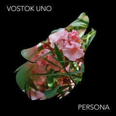 Vostok Uno - Me Asusta Tu Forma De Aprender