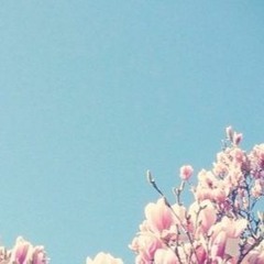 "Blossom" - Lofi Chilled Soft - Beat/Instrumental (Prod. Vexx Beats)