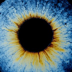 ((Raw OR Acid OR Industrial OR Hard) AND Techno) OR Acid