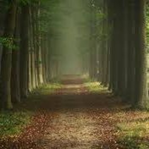 Fly to the moon- FRANK SINATRA COVERY BY ME :3