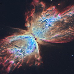 Butterfly (Memory Concept)