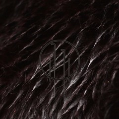 Feral Haze (Martial Canterel Remix)