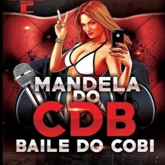 MEGA AO VIVO NO BAILE DO CDB PARTE 2 [DJ SCOOBY DU JA] SOM CAPIXABA 2017