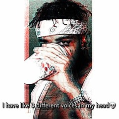 ShyWulf - Call Of Duty