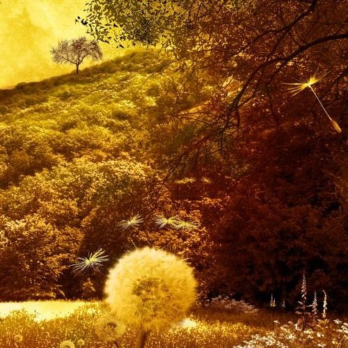 Fields of gold (Sting Cover Piano)