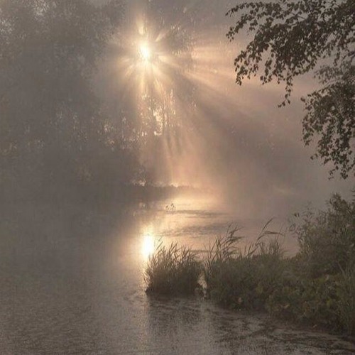 ssshhhiiittt! – море