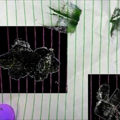 A Borboleta e o Coelho