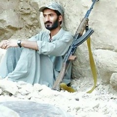 alim