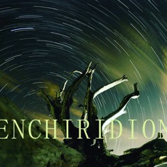 hound of ulster preview