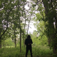 to the window to the wall (prod. ryan oddity)