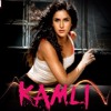 kaMil DOOM:3