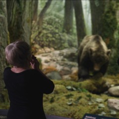 AudioTrailer-MusicForNaturalHistory