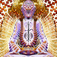 05 - Ovnimoon - This Makes Sense To Me