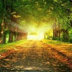 أخر الزمر للشيخ ياسر الدوسري