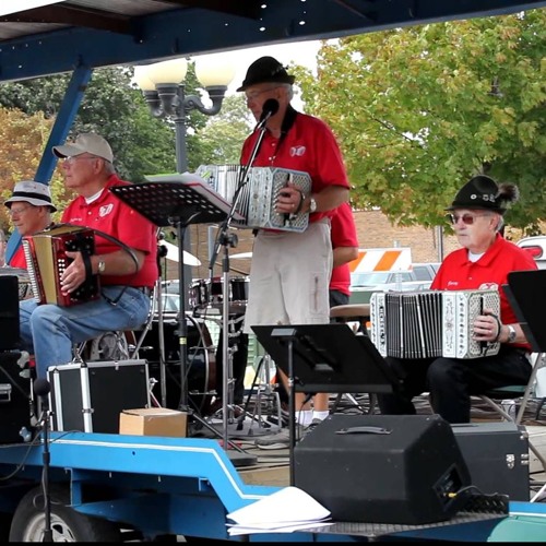 Stream Czech Concertina Club Plays "The Lapland Polka" by EMD F3A