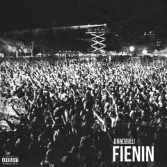 Danobilli - Fienin